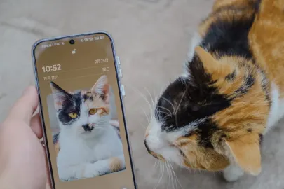 Vesper Casino Mobiilirakendus